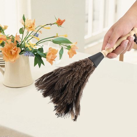 Mini plumeau à poussière en plumes d'autruche réutilisable et lavable pour bureau, clavier, livres et maison (1/5)