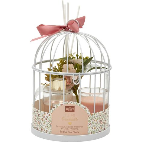 Coffret Senteur "Cage" 20cm Rêve Poudré (1/5)