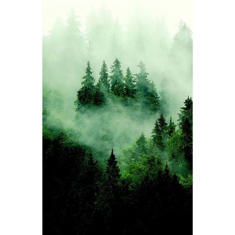 Poster intissé - foret sombre avec brouillard - 150 x 270 cm (1/3)