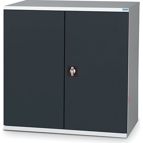 Werkstattschränke mit Flügeltüren - Abm 1000x665x1000mm - Türen RAL 5015 - W030020004-GCBI