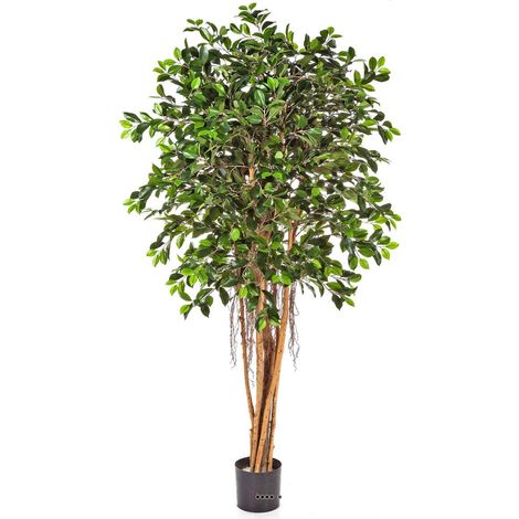 Ficus Retusa artificiel H 150 cm 1440 feuilles en pot - dimhaut: H 150 cm - couleur: Vert