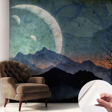 Fotomurale adesivo stickers - per camera da letto - per corridoio - decorazione casa moderna Paesaggio notturno 250x250 cm (1/5)