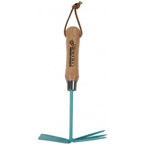 SPEAR &amp JACKSON Floral Squeegee - Asta e forcella - Blu - 50558