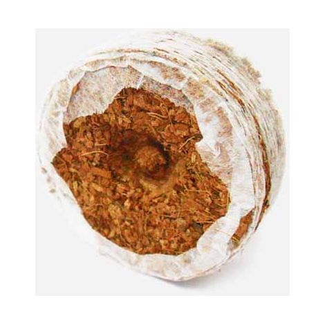 CoirCoins - Pack of 50 - Coco Peat Mix - L25 x W25 cm