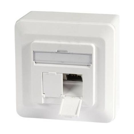 EFB ELEKTRONIK ET-25133AV5-R - TOMA DE CORRIENTE (2 X RJ-45, 6A, BLANCO)