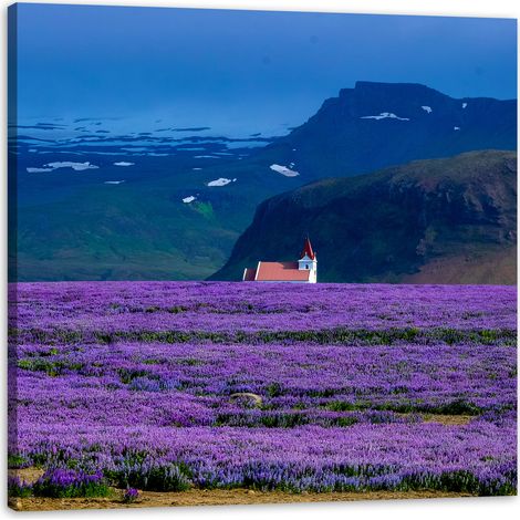 Leinwanddruck Natur Lavendelfeld 90x90 cm