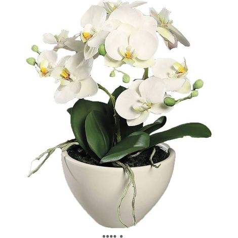 Orchidée phalaenopsis artificielle en coupe céramique H 35 cm Crème - dimhaut: H 35 cm - couleur: Crème