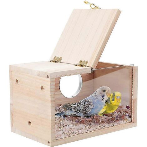 Nichoir transparent pour perruches - cage de nidification pour oiseaux (1/5)