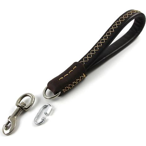 Laisse courte en cuir pour chien, robuste, avec poignée souple, idéale pour la sécurité des animaux de compagnie. (1/4)