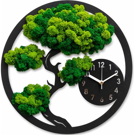 Reloj de musgo, árbol bonsái (1/5)