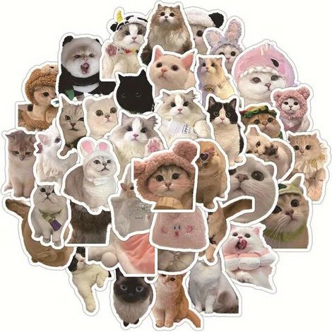 Juego de pegatinas de gatos adorables (1/5)