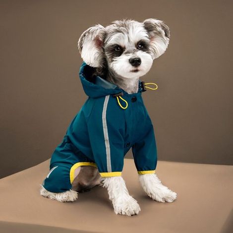 Impermeable negro XL para perros，impermeable con capucha，con orificios para correas y cinta reflectante (1/5)