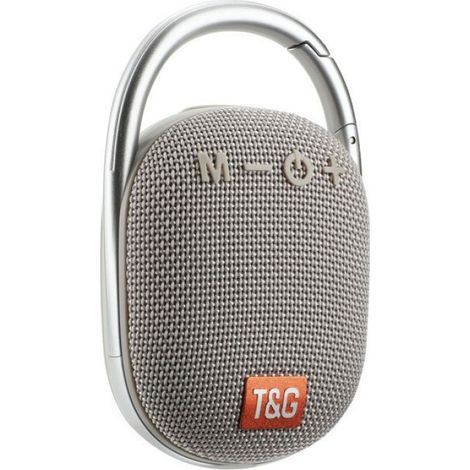 Mini enceinte portable grise TG321 avec crochet, Bluetooth, lumière LED et port USB(gris argenté) (1/3)