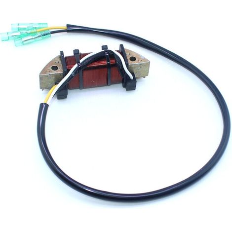Bobine d'éclairage pour moteur hors-bord Tohatsu 2 temps 18 chevaux - Compatible avec 3G2-06023-1 et 3G2060231M. (1/5)