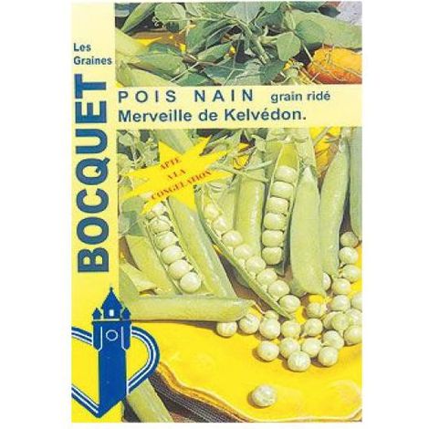 Pois nain 'Merveille de Kélvedon le sachet de 250-350 graines (100g) (1/2)