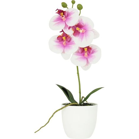 Orchidée artificielle blanc-fuchsia 35cm