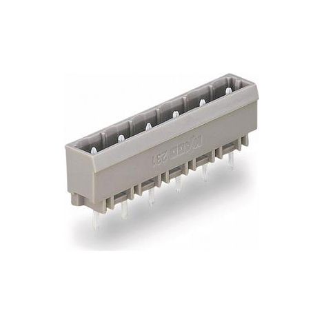Connettore a pin WAGO 231-240/001-000 10 pin passo 7,50 mm