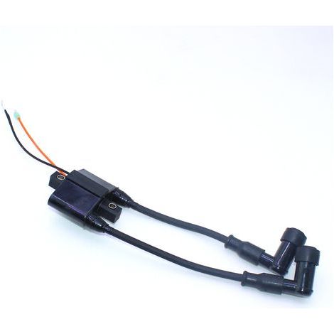 Bobina de alto voltaje para motor fueraborda Mercury de 4 tiempos de 8HP/9,8HP - Compatible con 339-803559A02. (1/5)