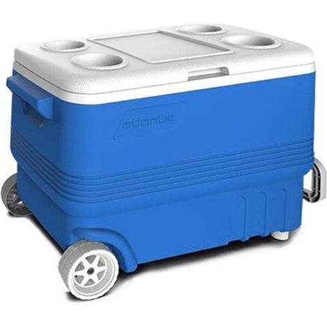 Réfrigérateur Frigorifique Passif Avec Porte-plateaux De Roues Couvercle 45lt Bleu 286505 (1/2)