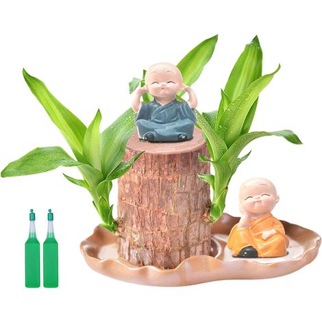 Ensemble de plantes en pot en bois brésilien, simple et facile d'entretien, idéal pour décorer une table. Cadeau parfait pour les amoureux des plantes. Couleur : B (1/4)