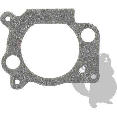 Guarnizione carburatore BRIGGS ET STRATTON 273364 - 691894