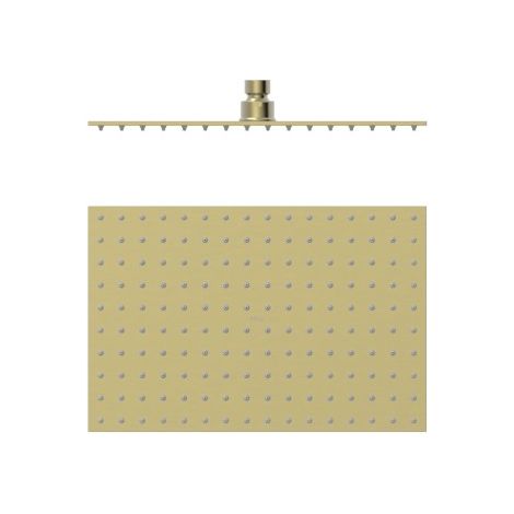 Pommeau de douche Extra-fin 300x200 Cava doré - TRES 134315007CA