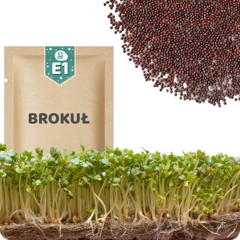 51Seed E01 SEMI DI BROCCOLI DA GERMOGLIO 10G