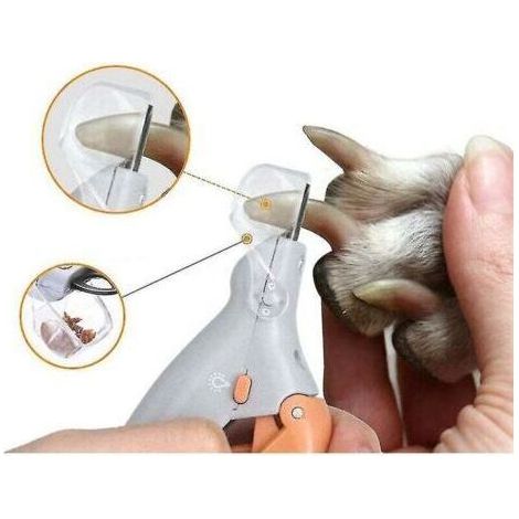 Ciseaux professionnels coupe-ongles pour animaux – Acier inoxydable – Lampe LED intégrée – Conception anti-éclaboussures – Pour chiens et chats