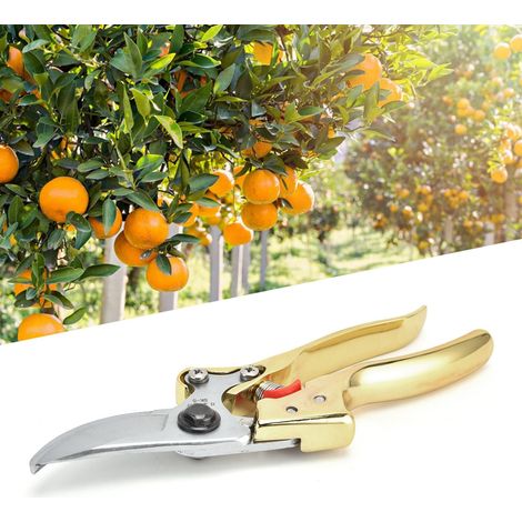 Gartenschere für Gartenpflanzen, Obstbäume, Äste, Blumenschere, Gartengeräte zum leichteren Beschneiden, Gartenschere (1/5)