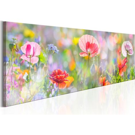 Quadro - Rainbow of Morning Poppies  - 135x45 (1/4)