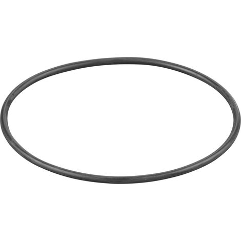 Rems O-Ring 060106