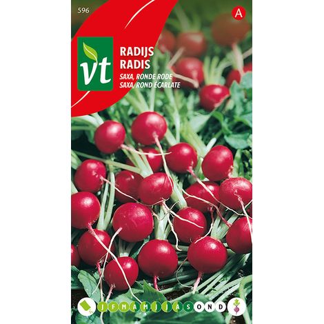Radis Saxa, Rond Écarlate - Ca. 10 gr (Livraison Gratuite) (1/2)