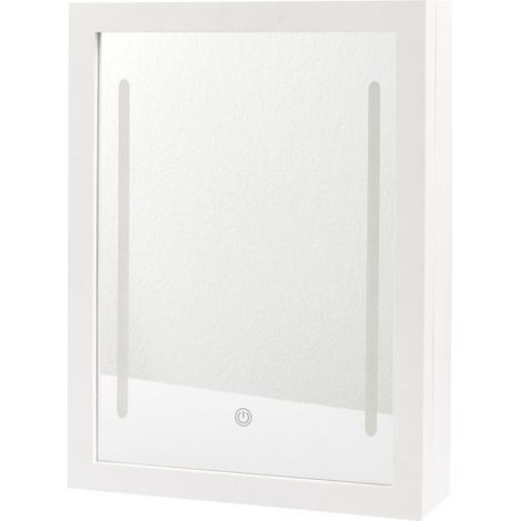 The Home Deco Factory – Miroir LED blanc avec rangement cosmétiques – Dimensions 60x40cm – Installation murale facile – Éclairage optimal pour maquillage