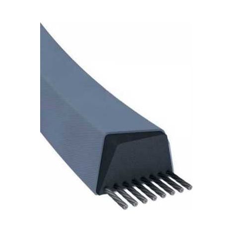 Courroie tondeuse Z24 trapézoïdale  10 x 648 mm (1/5)