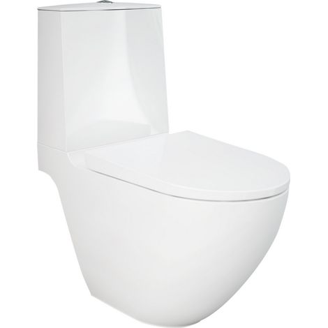 Vaso monoblocco des a pavimento rimless fissaggi nascosti (1/2)