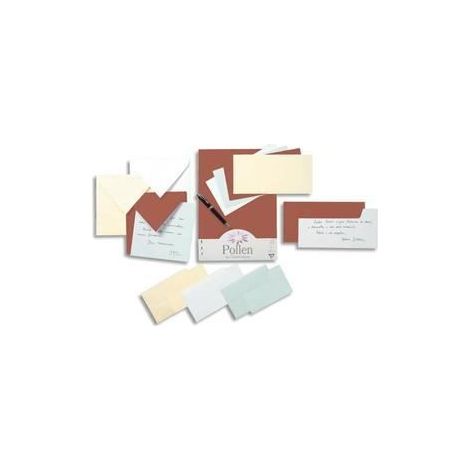 Enveloppes - CLAIREFONTAINE - POLLEN - 20 pièces - 90x140mm - Couleur framboise
