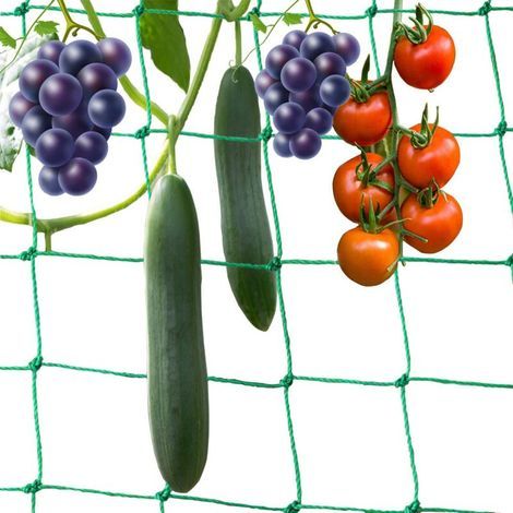5 2M Filet Plantes grimpantes Filet Potager Filet de Treillis pour Tomates Rcolte de Concombres Lgume Vignes Plantes Grimpantes (1/5)