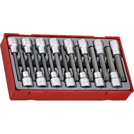 SET DI CHIAVI A BUSSOLA ESAGONALI E TORX 15 PEZZI - L-118890102 (1/4)