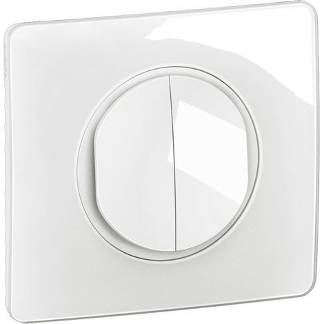 Double interrupteur lumineux Céliane 10AX complet Blanc (CG3001) (1/3)