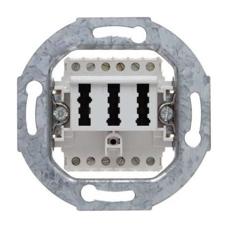 BERKER 454409 TAE-STECKDOSE 2 X 6/6NFF MODUL-EINSÄTZE POLARWEIß, MATT