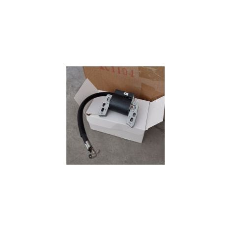 Bobine d'allumage pour Briggs & Stratton 794854 796964 695711