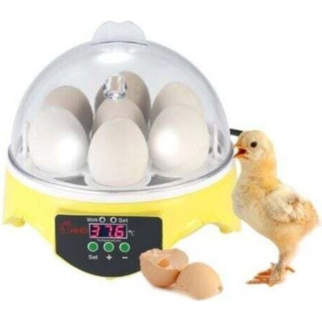 Automatischer Brutapparat für 7 Eier mit digitaler Temperaturregelung – für die Geflügelzucht – Huhn, Ente, Wachtel (1/5)