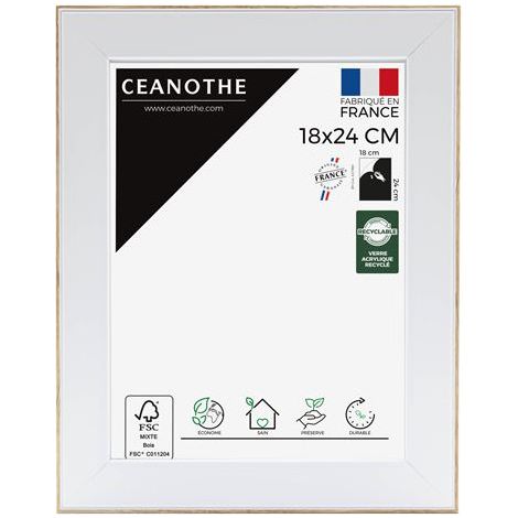 Ceanothe Newton cornice fotografica bianca 29x23 cm design moderno
