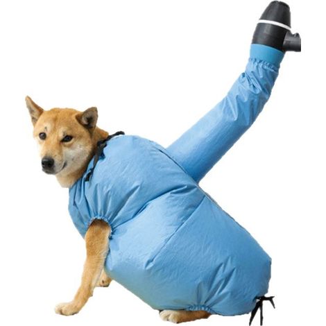 Sèche-Serviette pour Chat et Chien Taille S (2,5-5 kg) – Vêtement de Séchage Absorbant après le Bain, Accessoire Universel pour Animaux