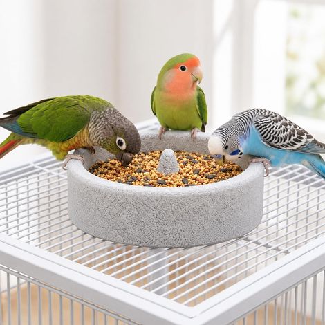 Mangeoire et grattoir à bec en pierre volcanique pour oiseaux (1/5)