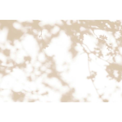 Papier peint panoramique salon ombre de branche d'arbre Tapisserie panoramique campagne chic Papier peint panoramique beige & blanc (1/2)