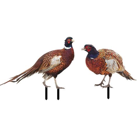 Coq décoratif piquet jardin extérieur, ornement animal poule poulet décoration extérieure lot de 5 pièces.