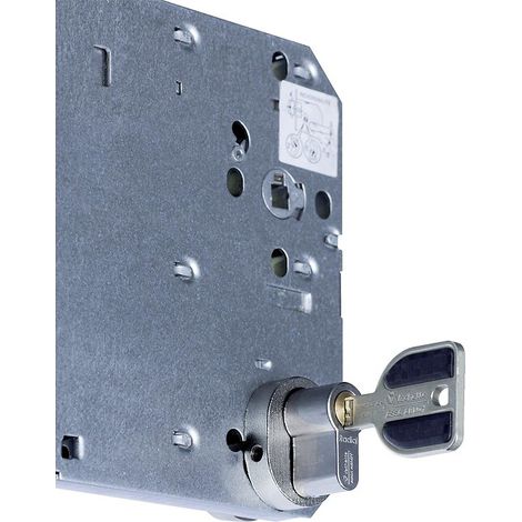 Protecteur de cylindre A2P SGN1 pour serrure 5000/5900 XL épaisseur 38 à 59 mm - VACHETTE
