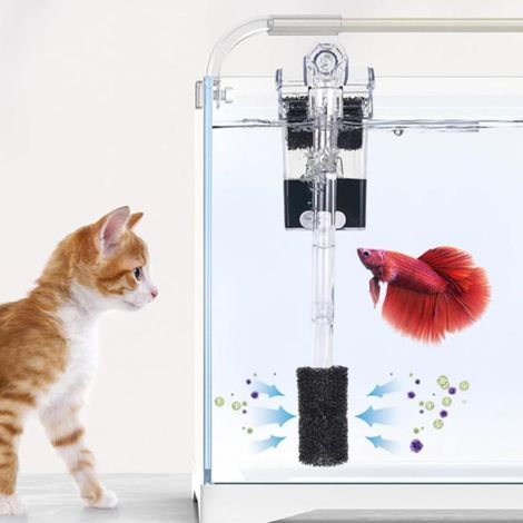 20 Pièces Pré-Filtre Éponge Aquarium Mousse, Cylindrique Éponge Filtre Spa, 7,5cm Filtre Entrée Eponge, Adaptée Aux Piscines, Aquariums, Spas (Noir) (1/2)