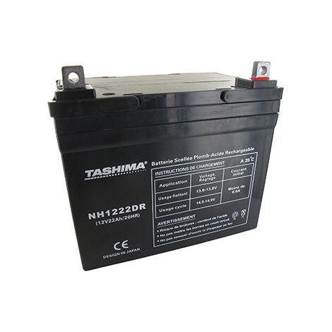 Batterie Tashima Gel/agm 100% wasserdicht 12V, 22A Für Rasentraktor. L: 195, B: 130, H: 180, + Rechts. - Batterie einzusetzen